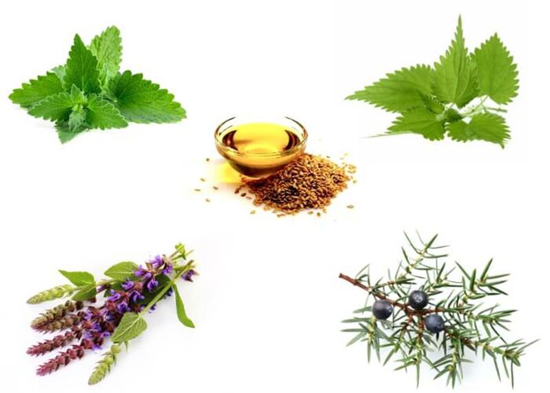 Menta, ortiga, tomiño, enebro e aceite de liño