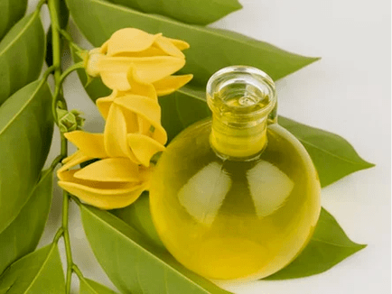 Aromaterapia para mellorar a potencia